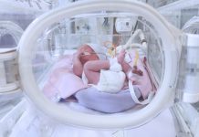 Researchers identify a cause of preterm labour Researchers identify a cause of preterm labour