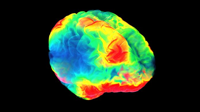 Understanding the early stages of Alzheimer’s with 3D imaging