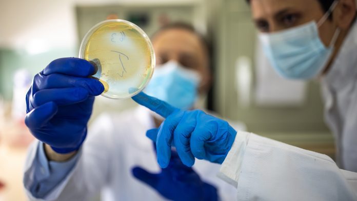 Research uncovers how a superbug is spreading infection in hospitals