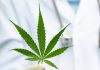Driving medical cannabis-based therapies forward with biotech