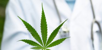 Driving medical cannabis-based therapies forward with biotech