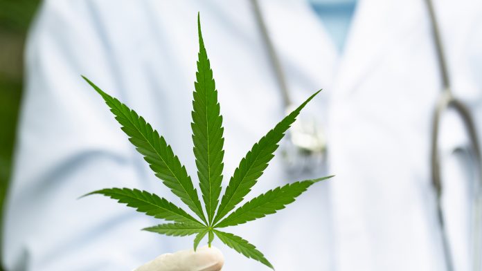 Driving medical cannabis-based therapies forward with biotech