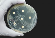 Breaking the silence on resistance to antibiotics