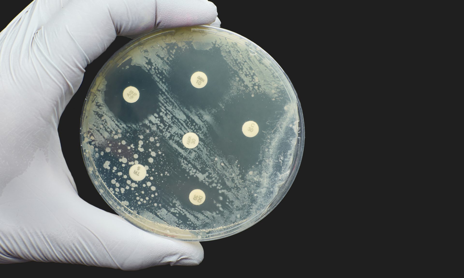 Breaking the silence on resistance to antibiotics