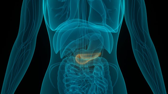 Researchers find method for improved pancreatic cancer treatment