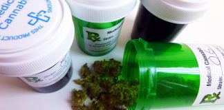 How medical cannabis could be used to alleviate the opioid crisis
