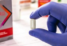 Using engineered yeast cells to create an anti-cancer drug Using engineered yeast cells to create an anti-cancer drug