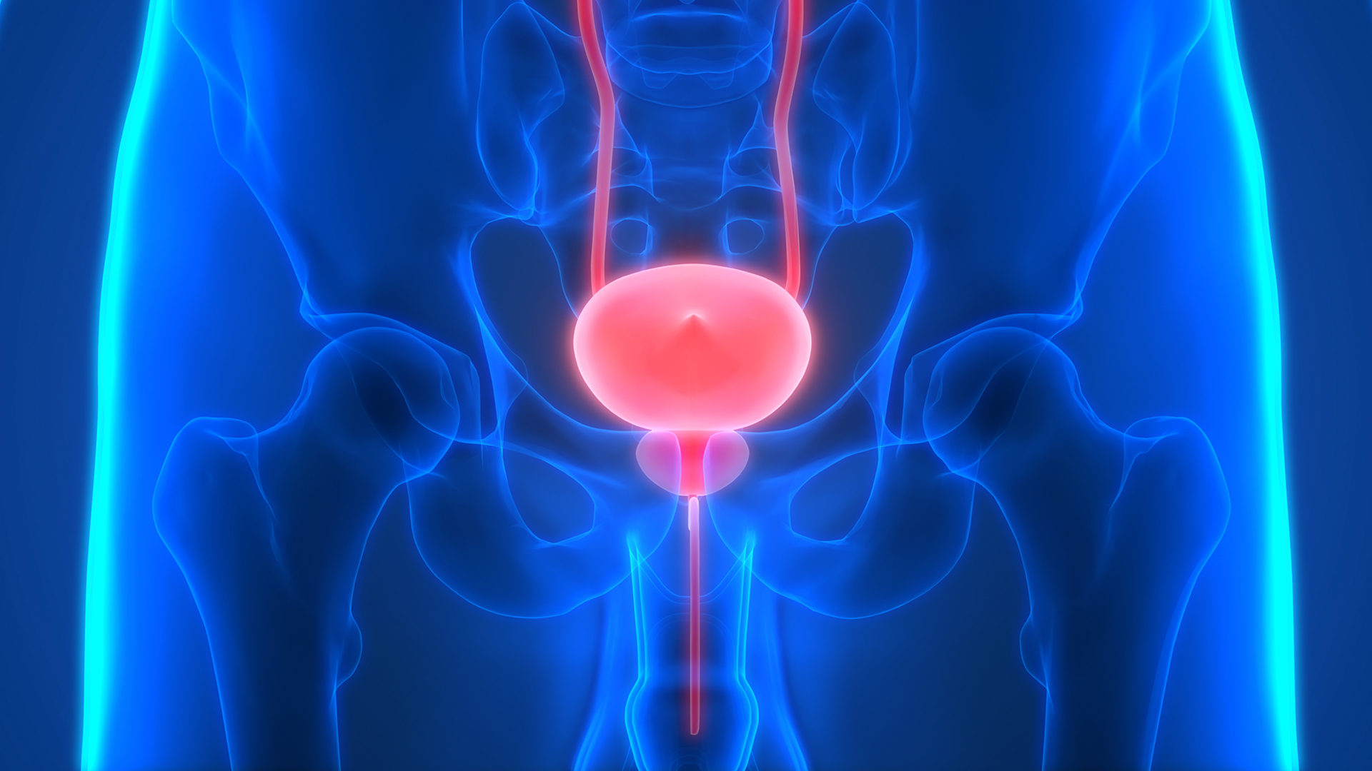 Researchers create revolutionary bladder cancer treatment