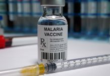 New malaria vaccination could be deployed by 2023