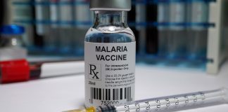 New malaria vaccination could be deployed by 2023