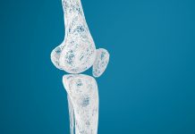 Streamlined drug delivery system used to fight bone infection Streamlined drug delivery system used to fight bone infection