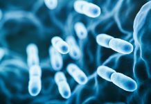 Genetic analysis could answer vital questions about Legionella bacteria 