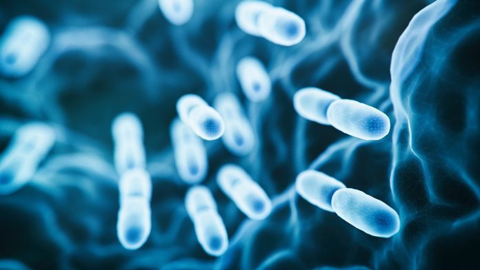 Genetic analysis could answer vital questions about Legionella bacteria 