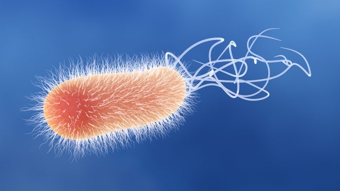 The organic compound capable of killing Pseudomonas aeruginosa