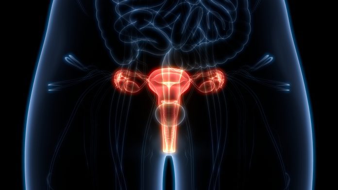 UCL researchers make an exciting discovery about cervical cancer