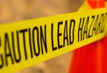 WHO looks to end global lead poisoning crisis WHO looks to end global lead poisoning crisis