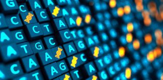 Genetic sequencing can predict the severity of kidney cancer