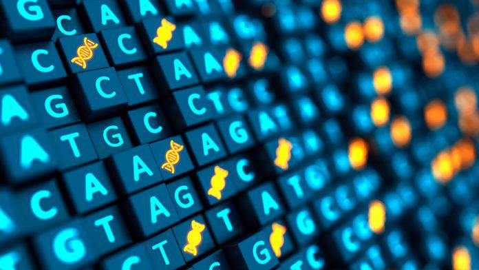 Genetic sequencing can predict the severity of kidney cancer