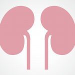 Making treatment for malignant tumours better for the kidneys