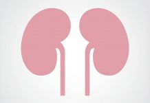 Making treatment for malignant tumours better for the kidneys Making treatment for malignant tumours better for the kidneys