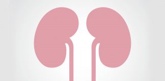 Making treatment for malignant tumours better for the kidneys