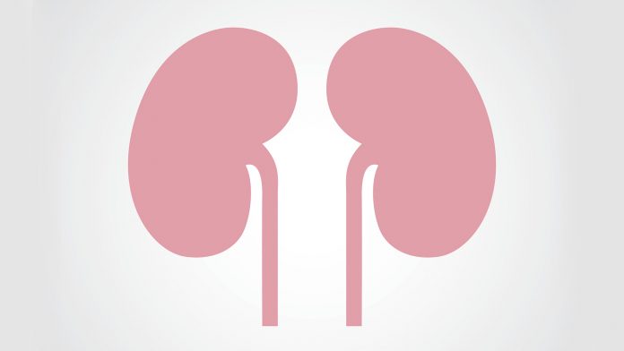 Making treatment for malignant tumours better for the kidneys