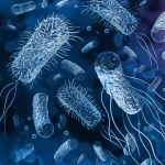 Discovering the oral bacteria that could be behind common diseases