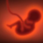 Researchers find gene that inhibits embryonic development