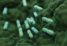 Klebsiella infections are more prevalent in hospitals than in nature