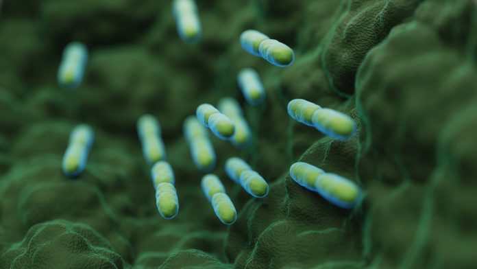 Klebsiella infections are more prevalent in hospitals than in nature