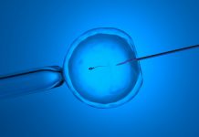 Using Artificial Intelligence technology in the IVF embryo selection process 