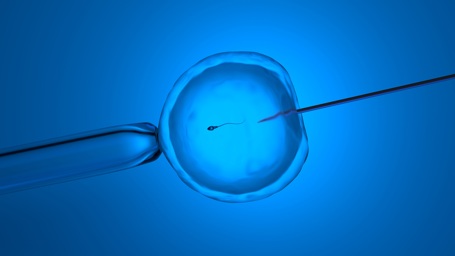 Using Artificial Intelligence technology in the IVF embryo selection process 