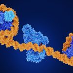Understanding how epigenetics can improve cancer treatment 