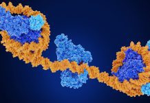 Understanding how epigenetics can improve cancer treatment 