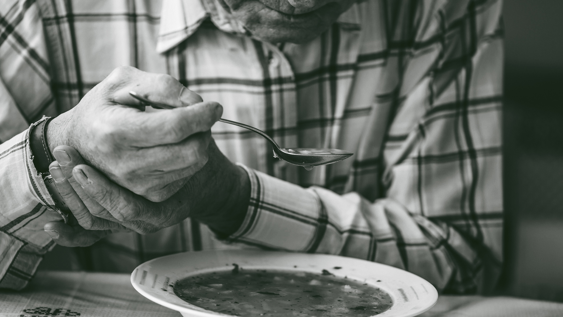 Understanding malnutrition in adults