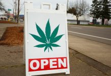 No link found between legalising recreational cannabis and increased substance abuse