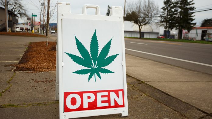 No link found between legalising recreational cannabis and increased substance abuse