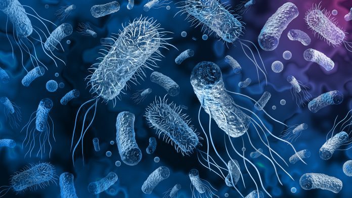 Hidden gram-negative bacteria pose a serious threat to hospital patients