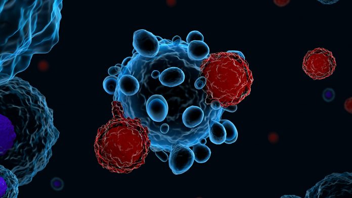 A new biomarker can measure CAR-T cell therapy response