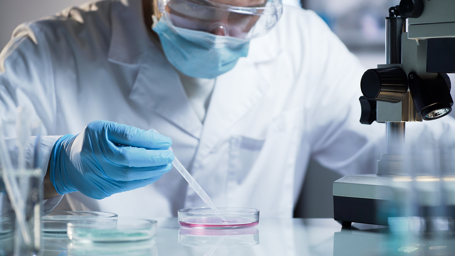 Defence Therapeutics begin toxicology study of intranasal AccutoxTM