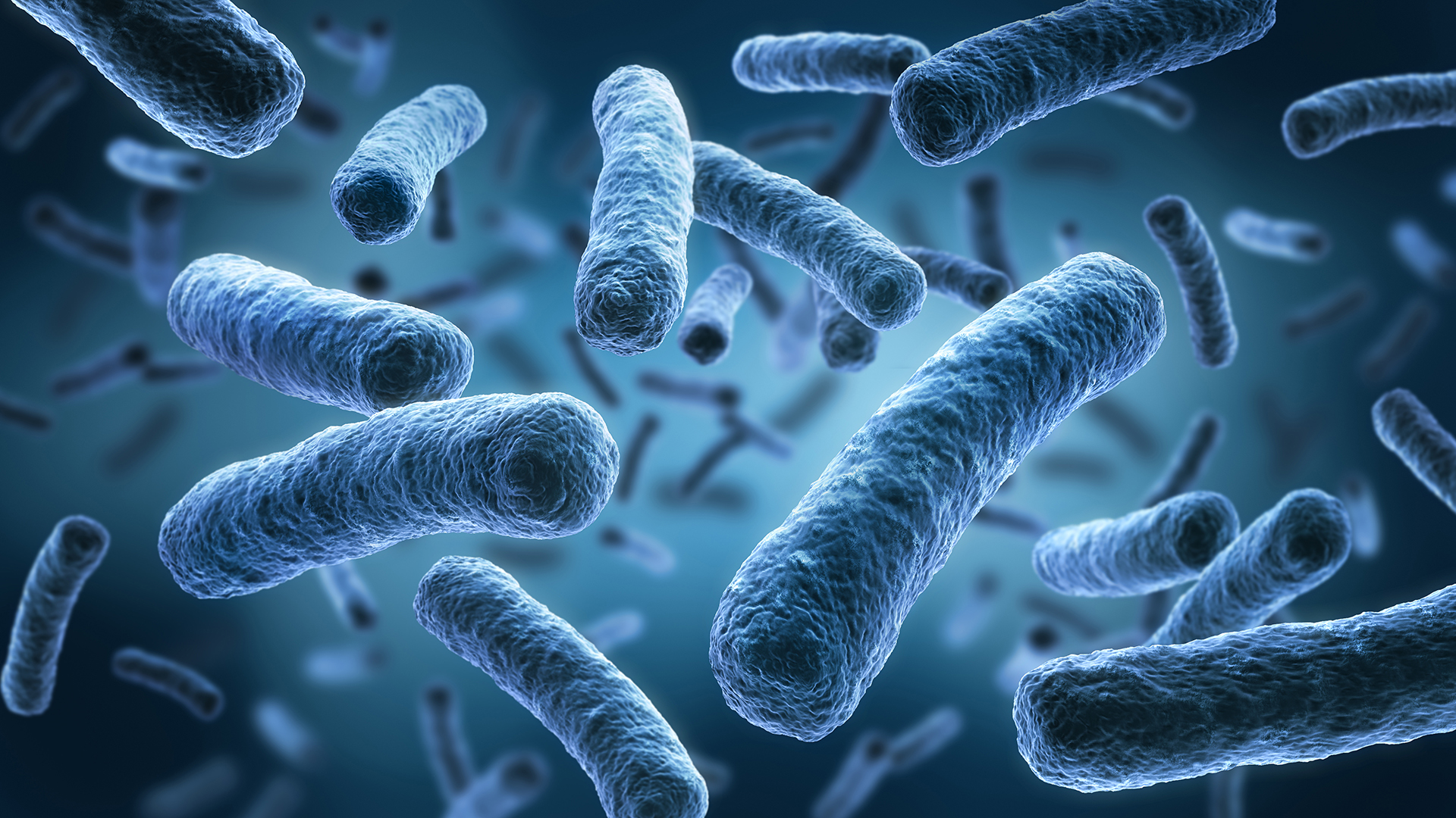 Perseverant bacteria are weakening antibiotic treatment