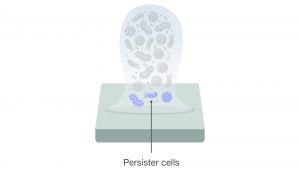 peracetic acid