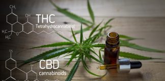 The effects of THC and CBD do not differ between adults and adolescents