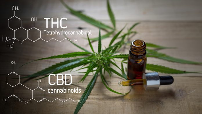 The effects of THC and CBD do not differ between adults and adolescents