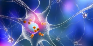 Research into modified RNA could revolutionise Lewy body dementia treatment