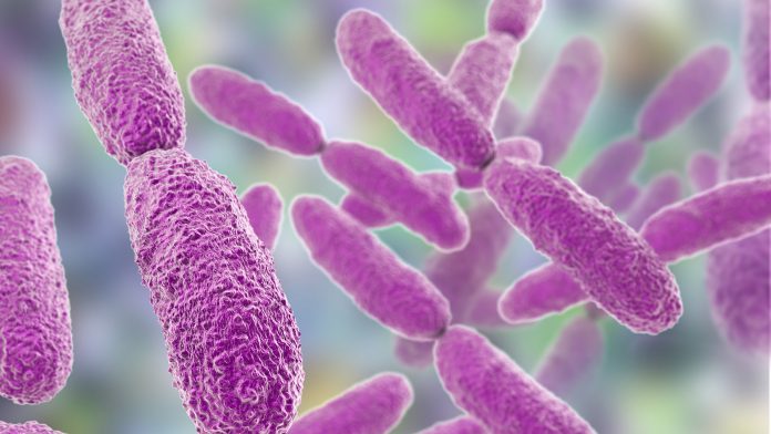 Klebsiella pneumoniae is on the rise in German hospitals