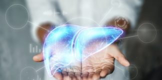 Researchers find a new drug candidate for fatty liver disease