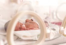 Why are premature babies so susceptible to deadly infections?