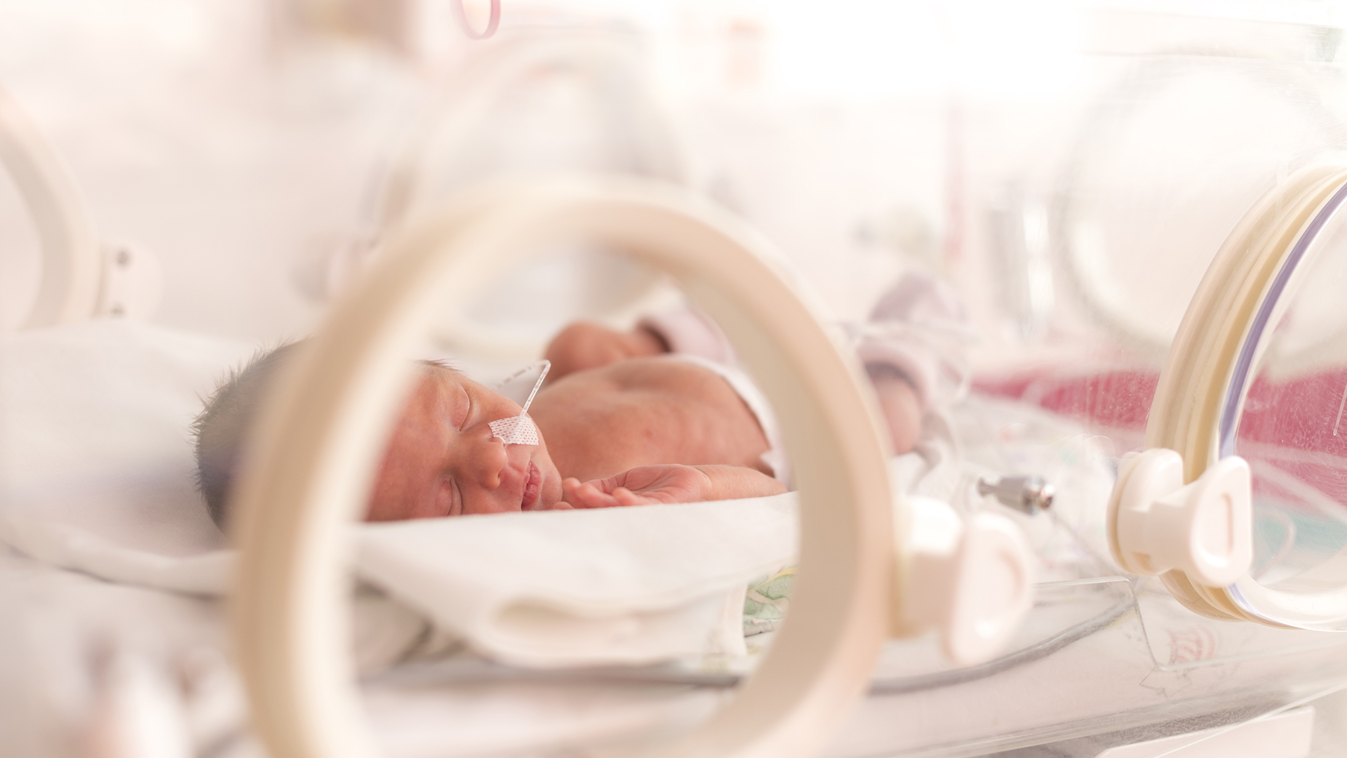 Why are premature babies so susceptible to deadly infections?