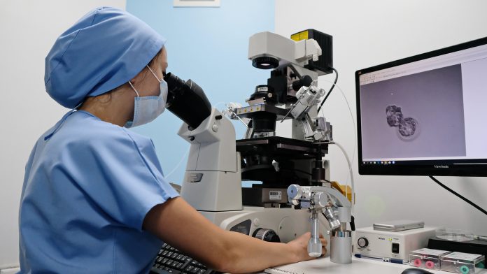 A new study identifies genetic variants influencing human fertility